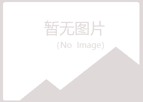 临川雅彤服务有限公司